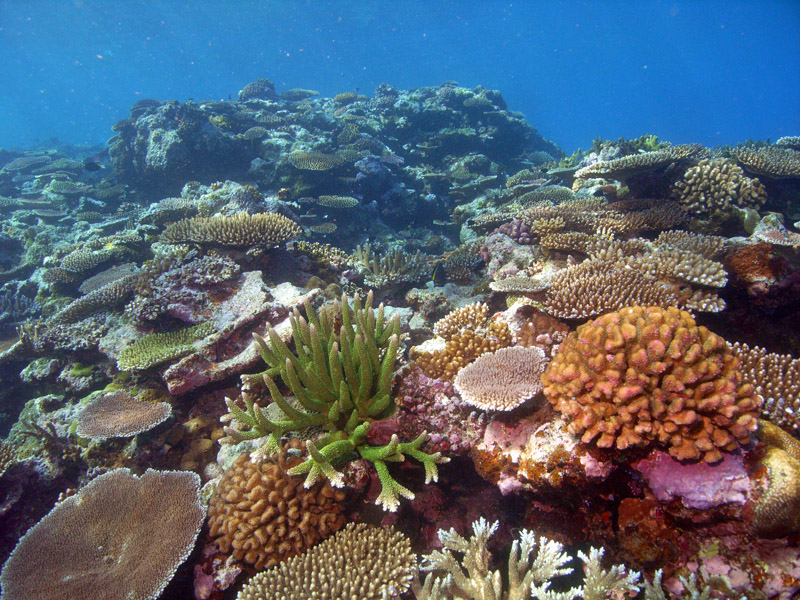 vanuatu.JW