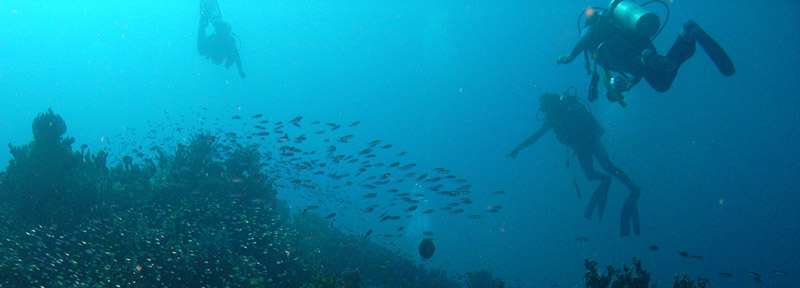 vanuatu.JW