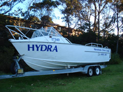 Hydra