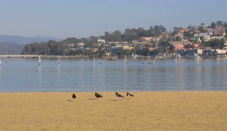 Merimbula Lake 